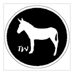 TrueWisdom logo,Rotem Shefa,RotemTW,Midburn,חכמת אמת,רותם שפע,